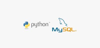 Python MySQL